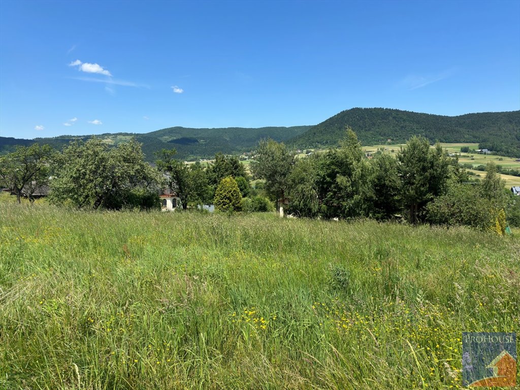 Działka budowlana na sprzedaż Pisarzowa  1 179m2 Foto 7