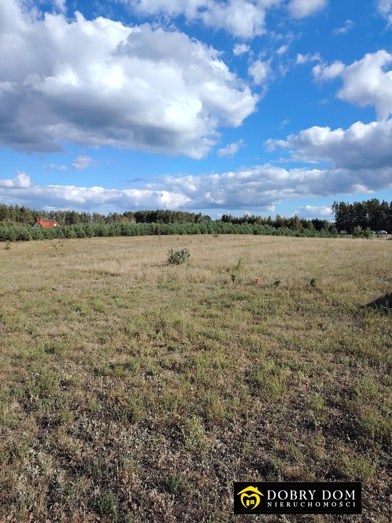 Działka budowlana na sprzedaż Danowskie  1 000m2 Foto 10