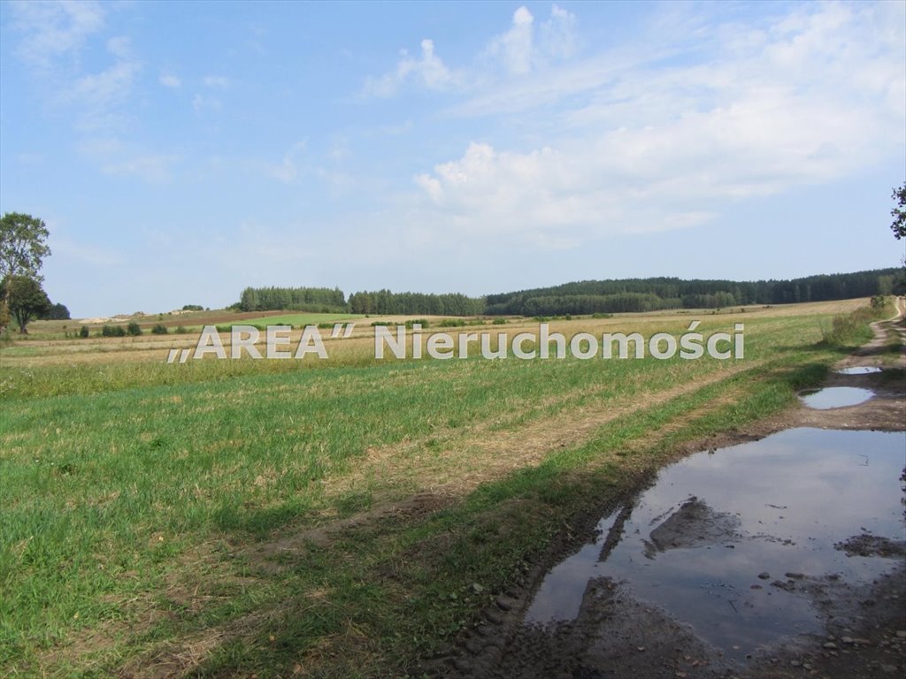 Działka leśna na sprzedaż Wierzchlesie  7 501m2 Foto 2