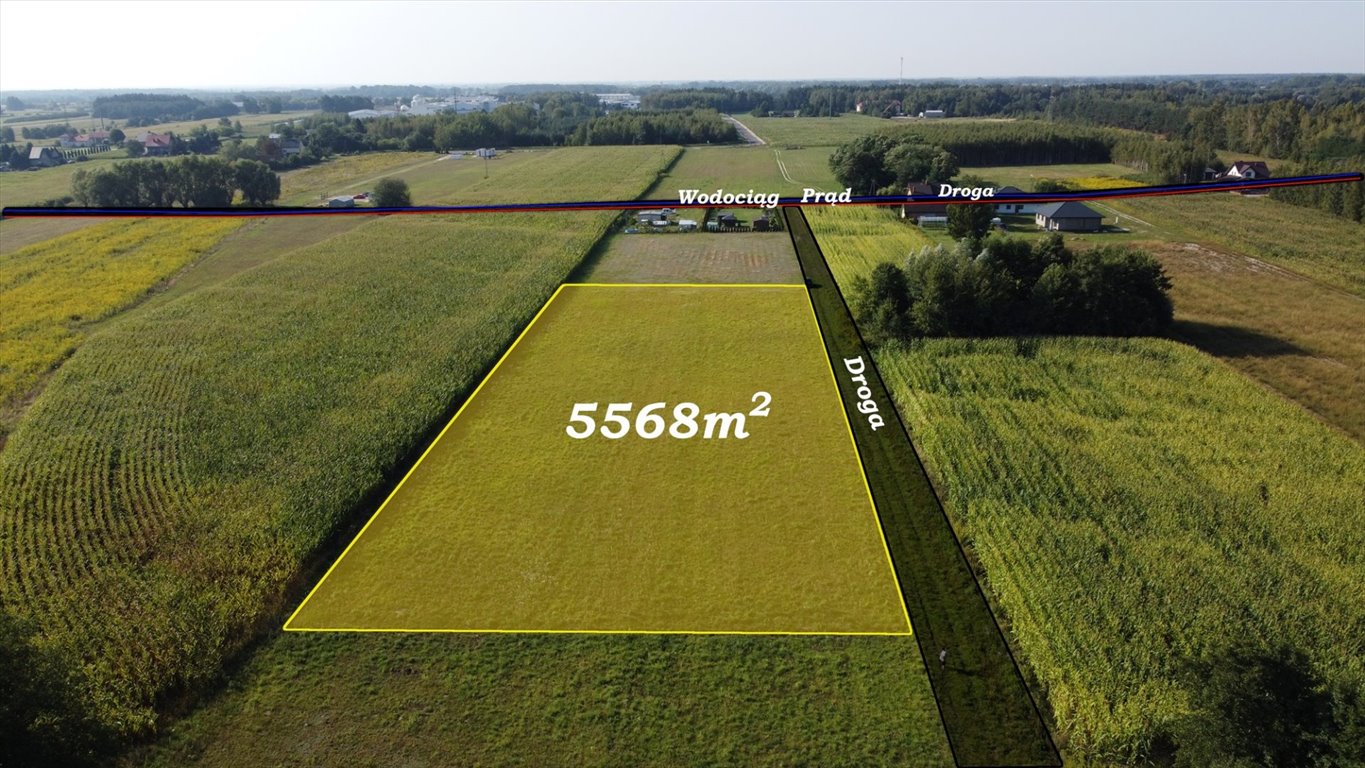 Działka rolna na sprzedaż Feliksów  5 568m2 Foto 1