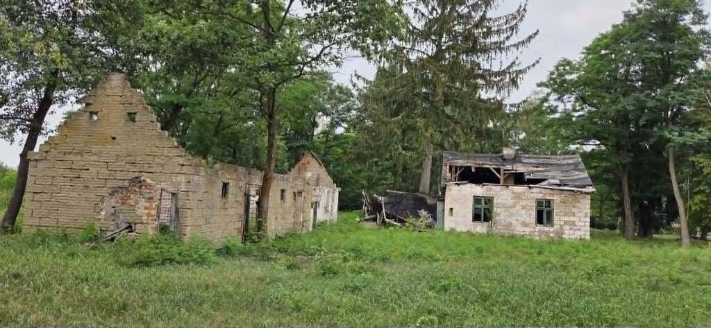 Zdjęcie 7