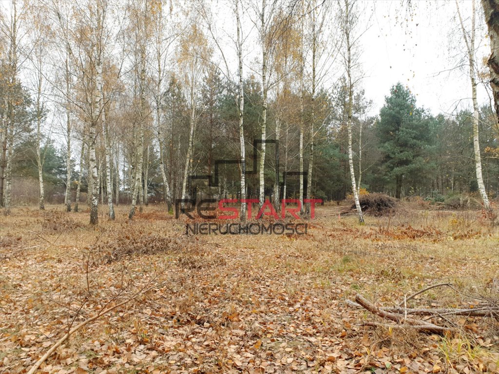 Działka budowlana na sprzedaż Osowiec  1 230m2 Foto 3