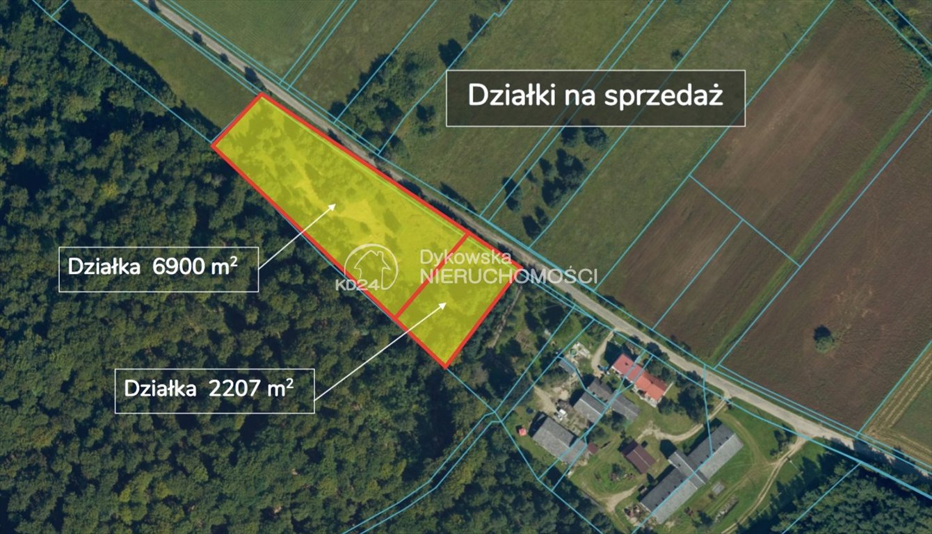 Działka 6900 m² w Laska – las, asfalt, media, rozwój: Darżewo Laska