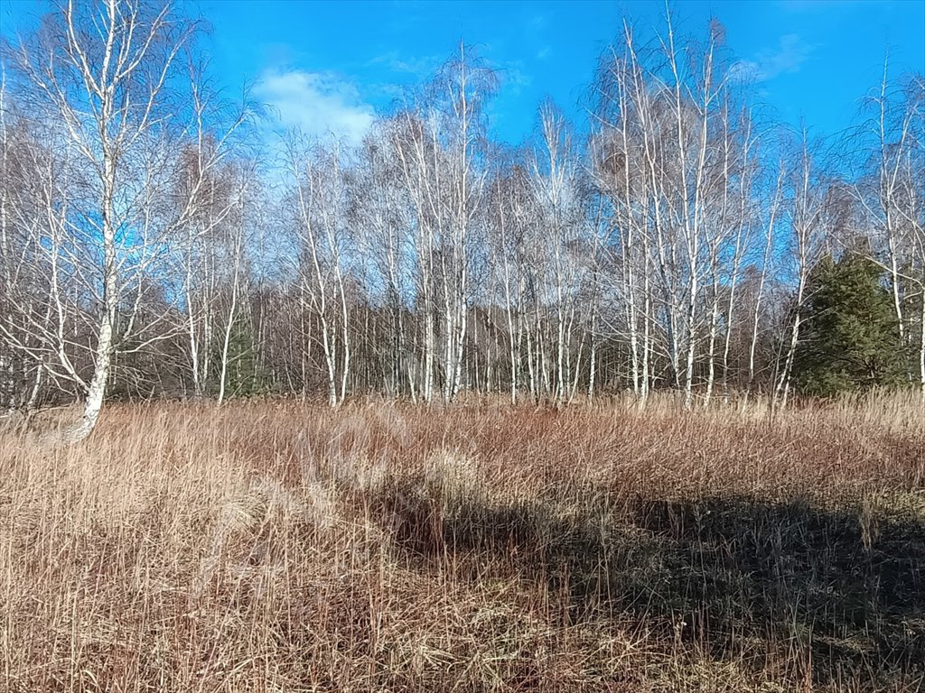 Działka budowlana na sprzedaż Nadolice Wielkie  1 117m2 Foto 6