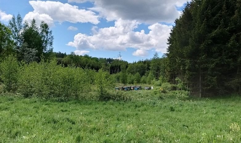 Działka rolna na sprzedaż Nowosady  22 800m2 Foto 1