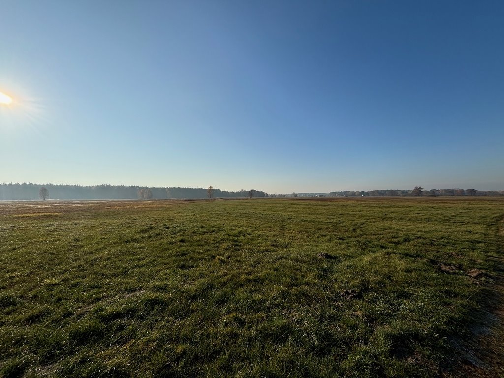 Działka rolna na sprzedaż Nowe Załubice  27 100m2 Foto 7