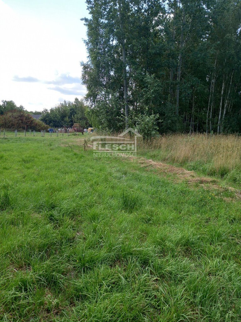 Działka budowlana na sprzedaż Oddział  5 000m2 Foto 7