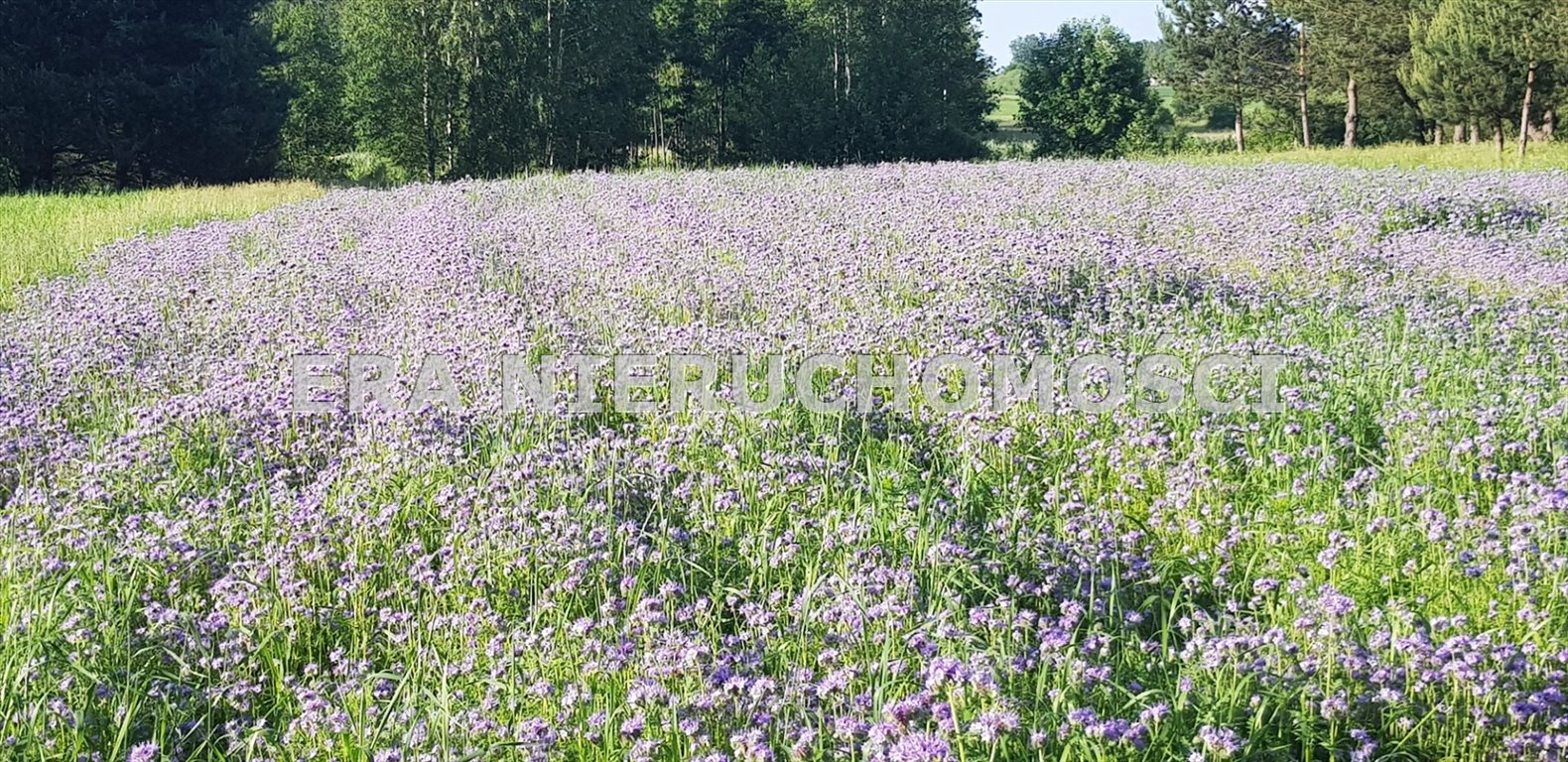 Działka pod zabudowę w Porosłach, 1533 m², media Porosły  1 533m2 Foto 1