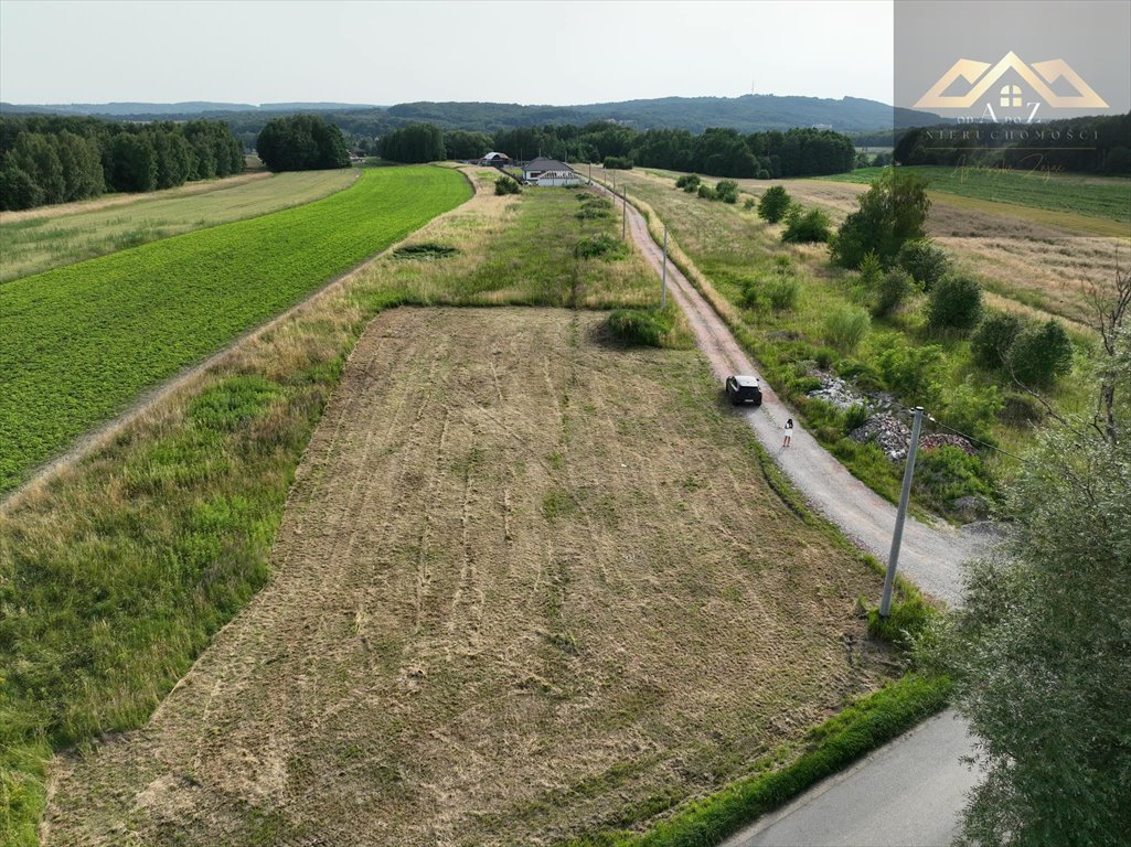 Działka budowlana na sprzedaż Skrzyszów  1 216m2 Foto 2