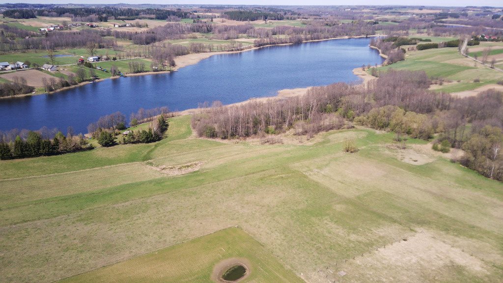 Działka budowlana na sprzedaż Przerośl  3 500m2 Foto 3