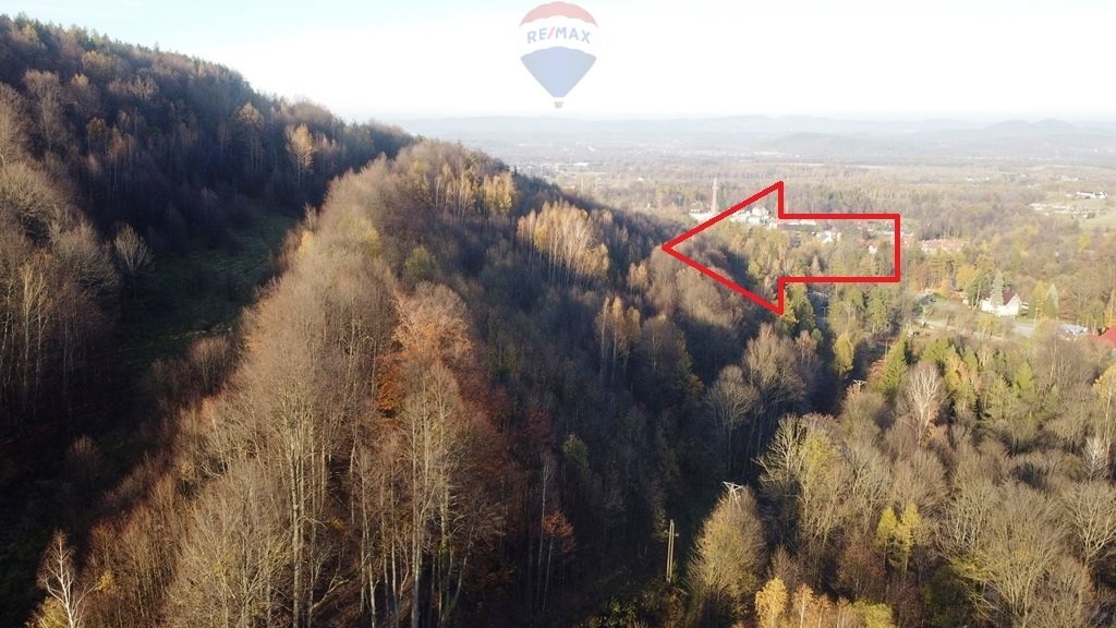 Działka leśna na sprzedaż Karpacz, Górna  14 544m2 Foto 3