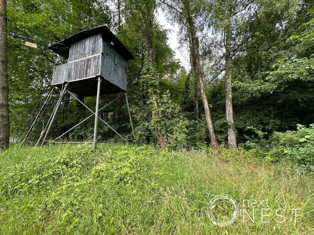 Działka budowlana na sprzedaż Borowina, Topolowa  12 007m2 Foto 1