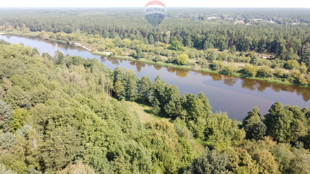 Działka budowlana na sprzedaż Paulinowo, Królowej Bony  5 000m2 Foto 6