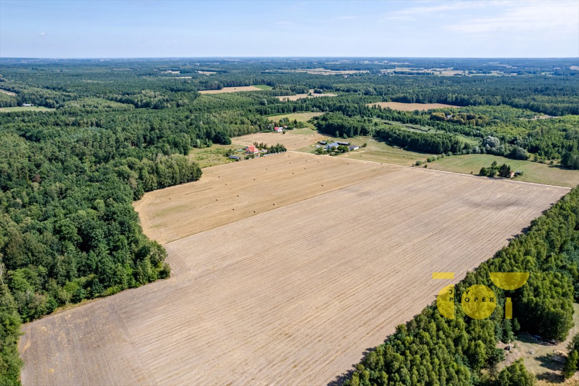 Działka rolna na sprzedaż Przepitki  9 000m2 Foto 11