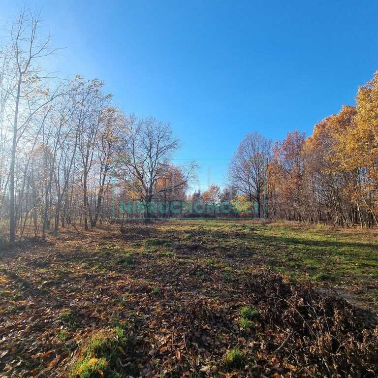 Działka 2461 m² w spokojnej okolicy z dobrym dojazdem Chrzanów Mały  2 461m2 Foto 1