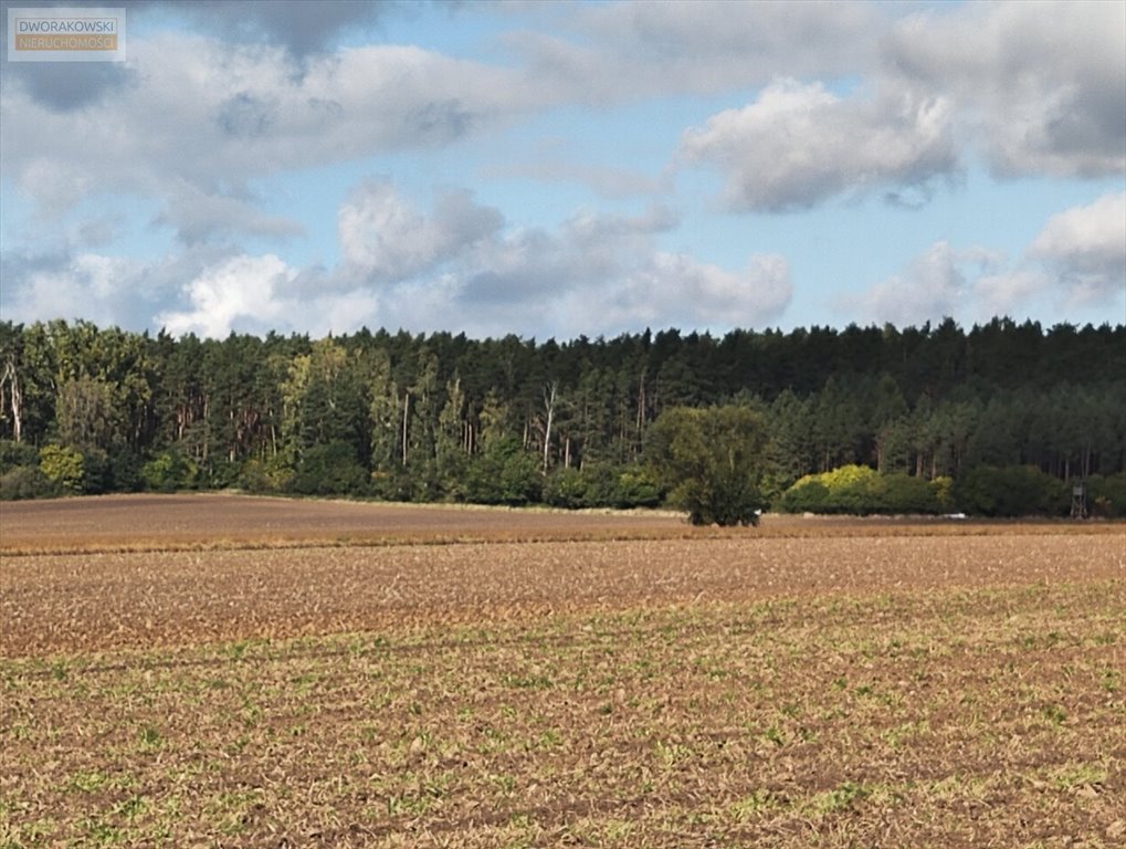 Działka rolna na sprzedaż Biskupice Oławskie, Główna  33 000m2 Foto 3