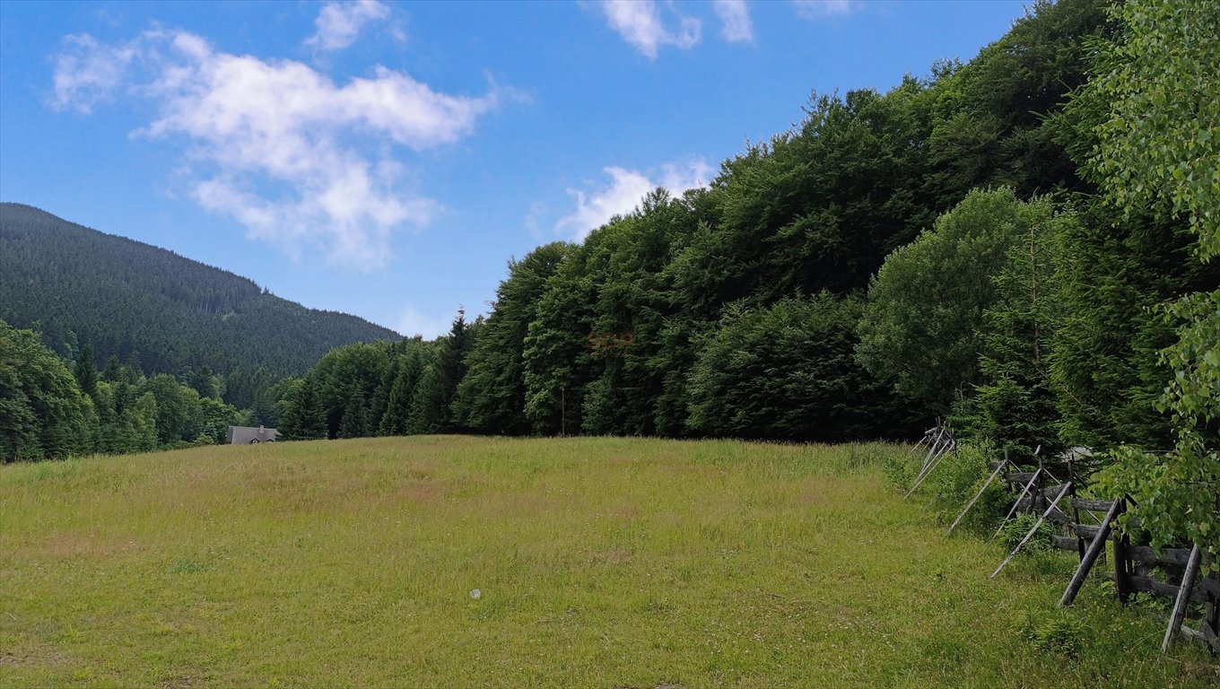 Działka 13 890 m² pod turystykę i dom w Kletnie Kletno  13 890m2 Foto 1