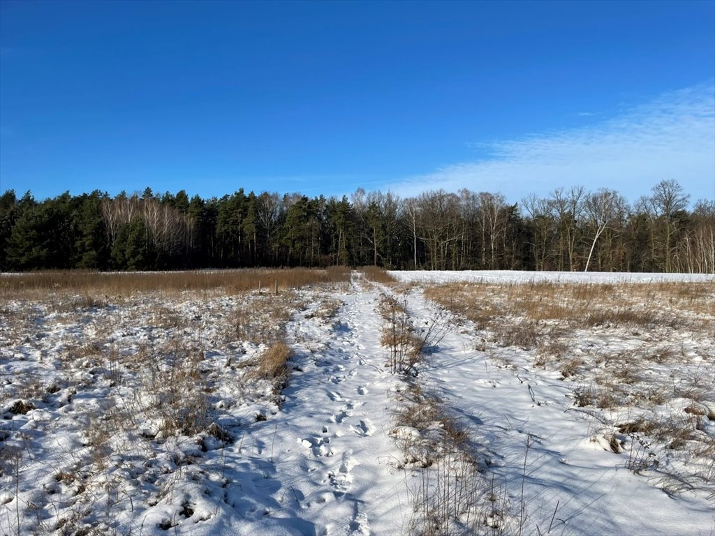 Działka budowlana na sprzedaż Kowalewko, Szyjki  1 070m2 Foto 1