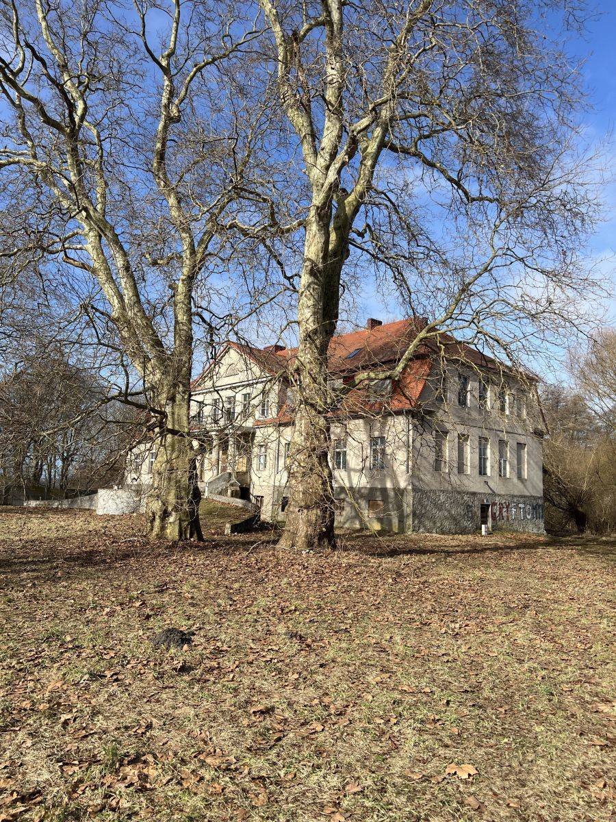 Zabytkowy pałac klasycystyczny z parkiem 2 ha w Skórzynie Skórzyno, Skórzyno  846m2 Foto 1