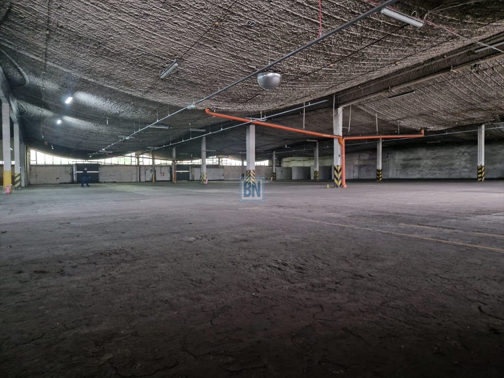 Lokal użytkowy na wynajem Zabrze  3 770m2 Foto 4