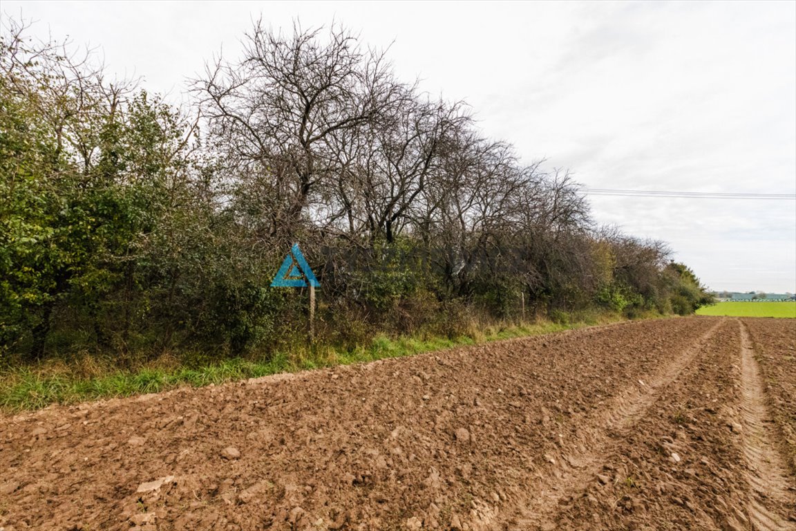 Działka rolna na sprzedaż Dobrzewino  7 071m2 Foto 9