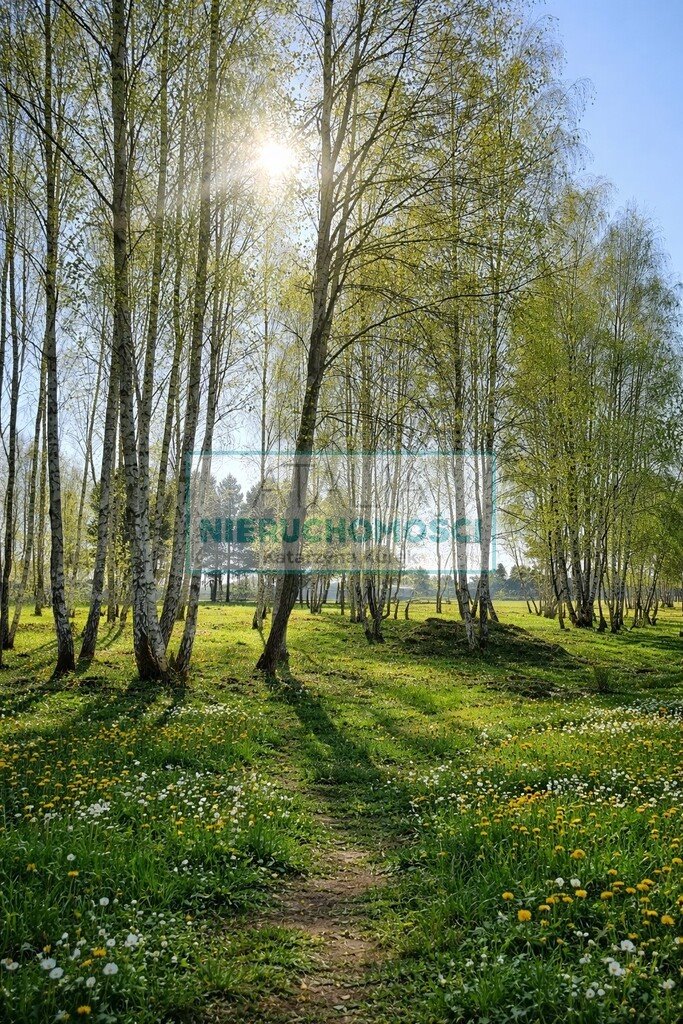 Działka 1150 m² w Radziejowicach z widokiem na park. Radziejowice-Parcel  1 150m2 Foto 1