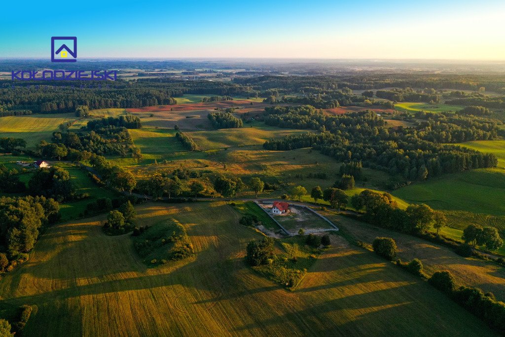 Działka rolna na sprzedaż Pupki  3 009m2 Foto 6