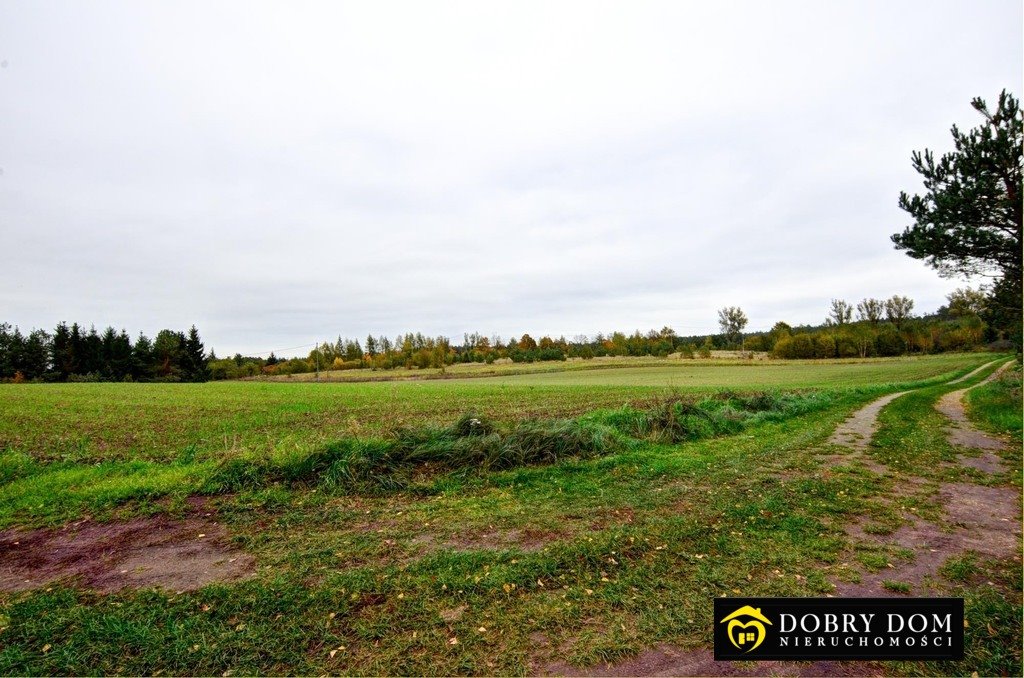 Przestronna działka 3035 m² w Kozińcach, lasy - polecam! Kozińce  3 035m2 Foto 1