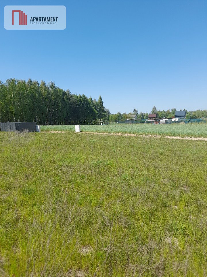 Działka rekreacyjna na sprzedaż Niemojewo  800m2 Foto 6