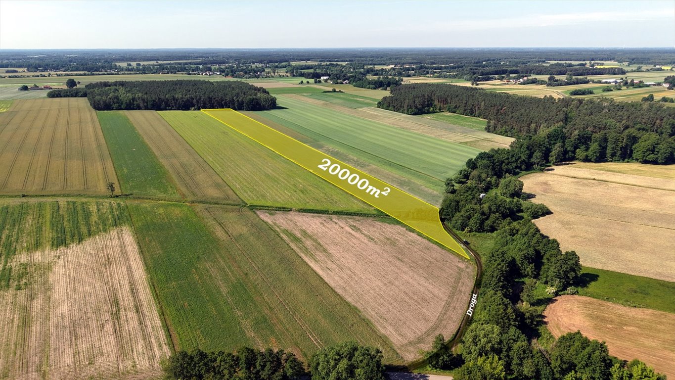 Działka rolna 2 ha w Modzele-Bartłomieje – spokój i natura Modzele-Bartłomieje  20 000m2 Foto 1