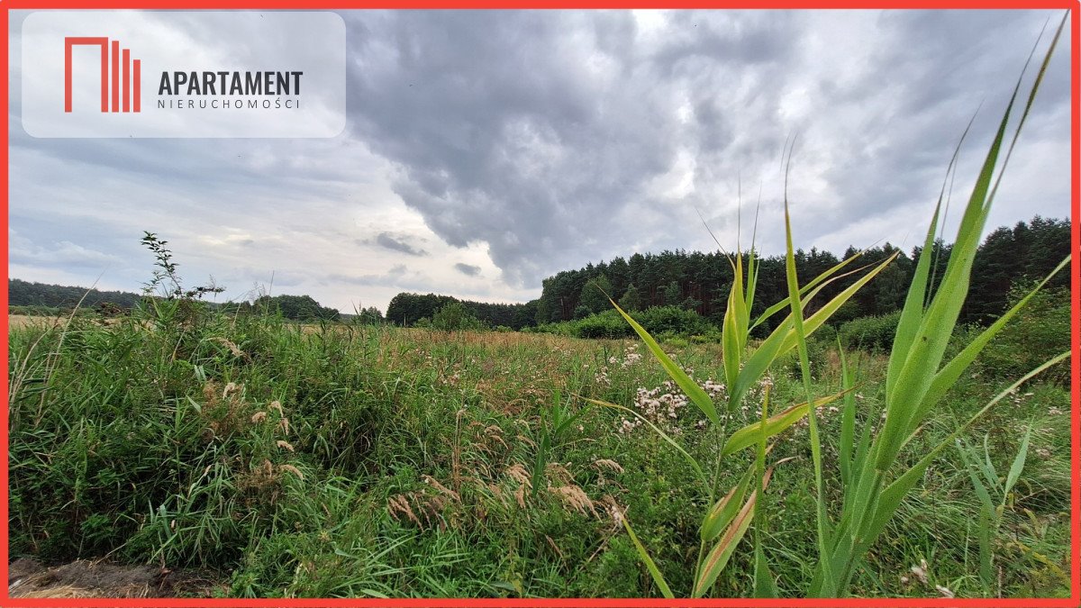 Działka 3 014 m2 z MPZP w Białych Błotach, lasy, spokojna okolica Białe Błota  3 014m2 Foto 1