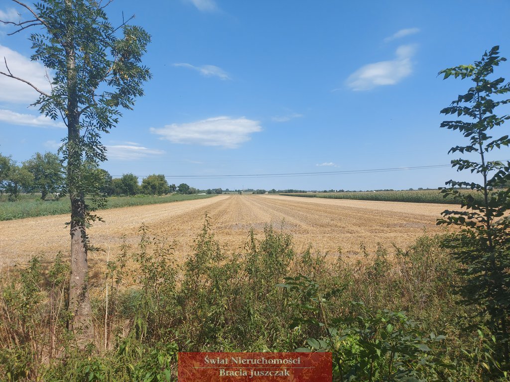 Działka siedliskowa na sprzedaż Ligota Wielka  29 000m2 Foto 1