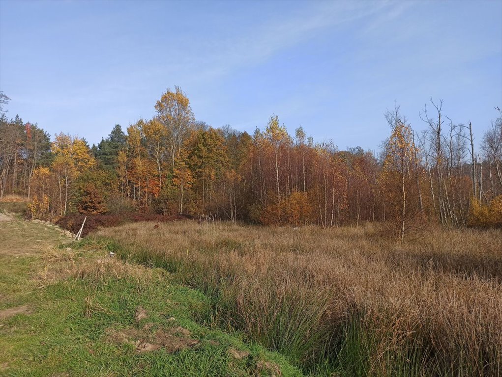 Działka budowlana na sprzedaż Leśniewo, Pucka  2 369m2 Foto 4