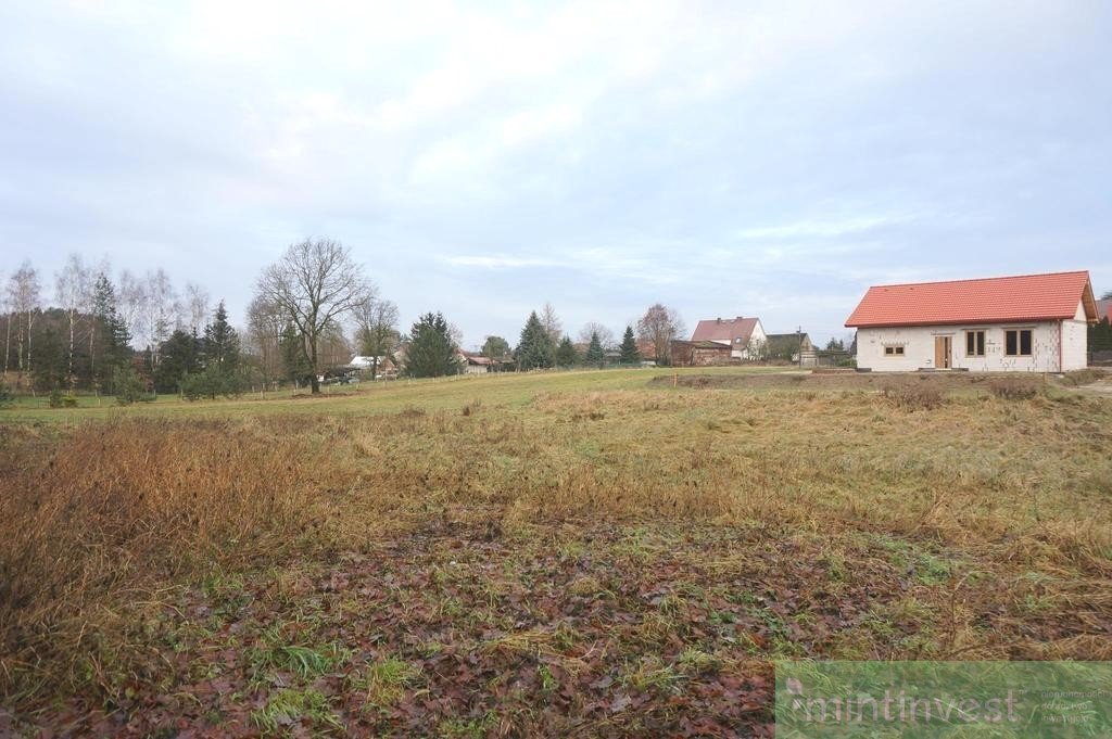 Działka budowlana na sprzedaż Motaniec  1 400m2 Foto 1