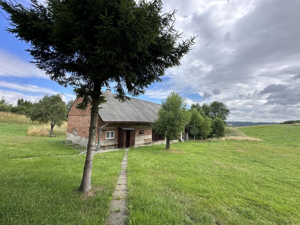 Dom na sprzedaż Nowy Borek  120m2 Foto 4