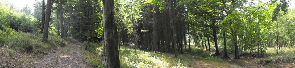 Działka inna na sprzedaż Boguszów-Gorce  80 000m2 Foto 10