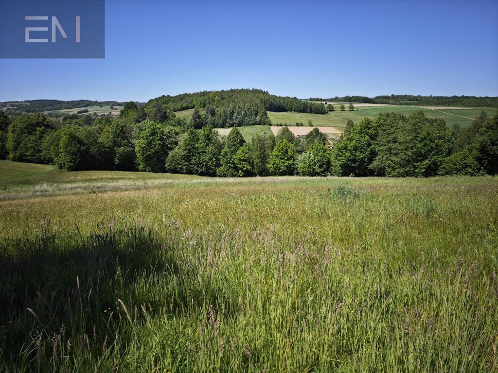 Działka rekreacyjna na sprzedaż Straszydle  5 200m2 Foto 2