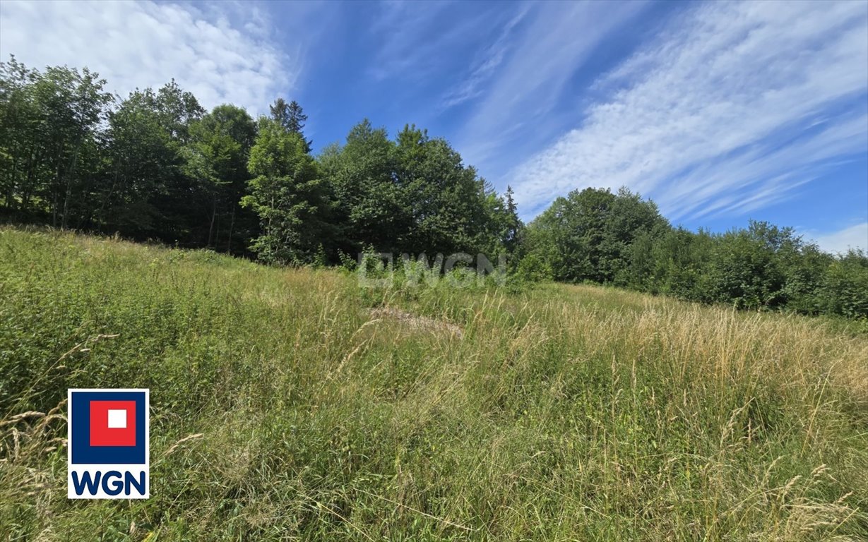 Działka budowlana na sprzedaż Ustroń, Cisownica  888m2 Foto 6