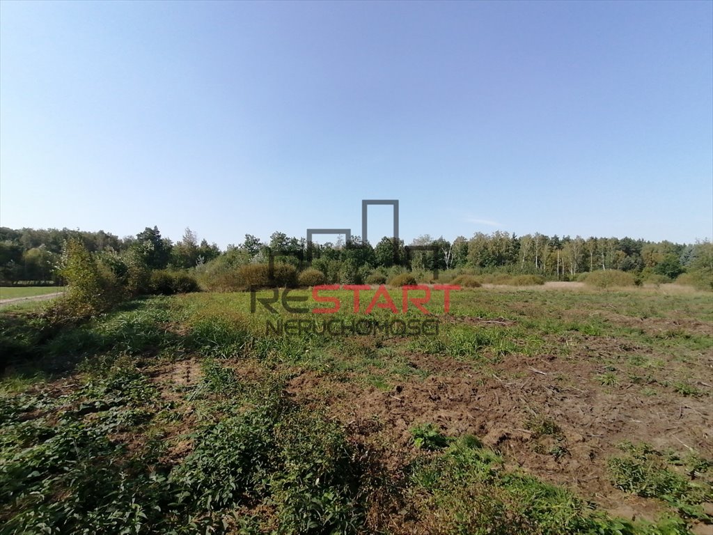 Działka budowlana na sprzedaż Janinów  1 500m2 Foto 4