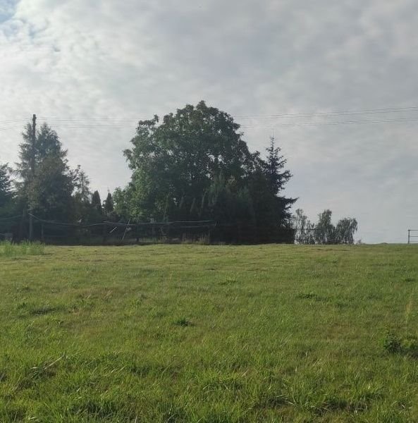 Działka 2000 m² z warunkami zabudowy, media, spokojna okolica Środa Wielkopolska  2 000m2 Foto 1