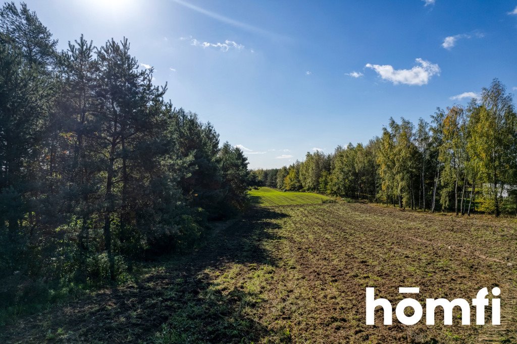 Działka budowlana na sprzedaż Brzeziny  4 100m2 Foto 6