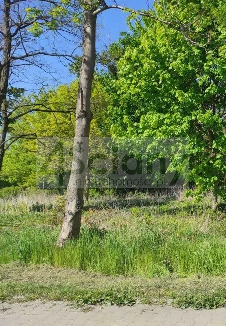 Działka 1274 m2 z mediami, MPZP, Parzniew Parzniew  1 274m2 Foto 1