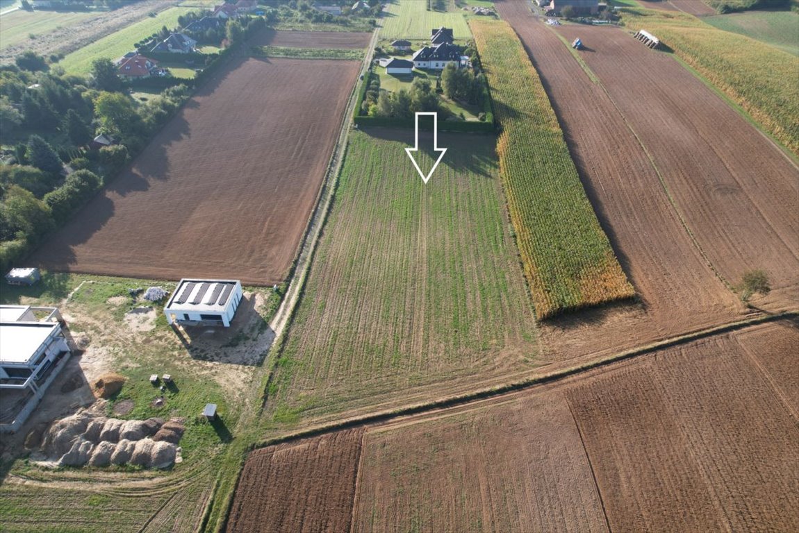 Działka budowlana na sprzedaż Lipniak  6 100m2 Foto 1