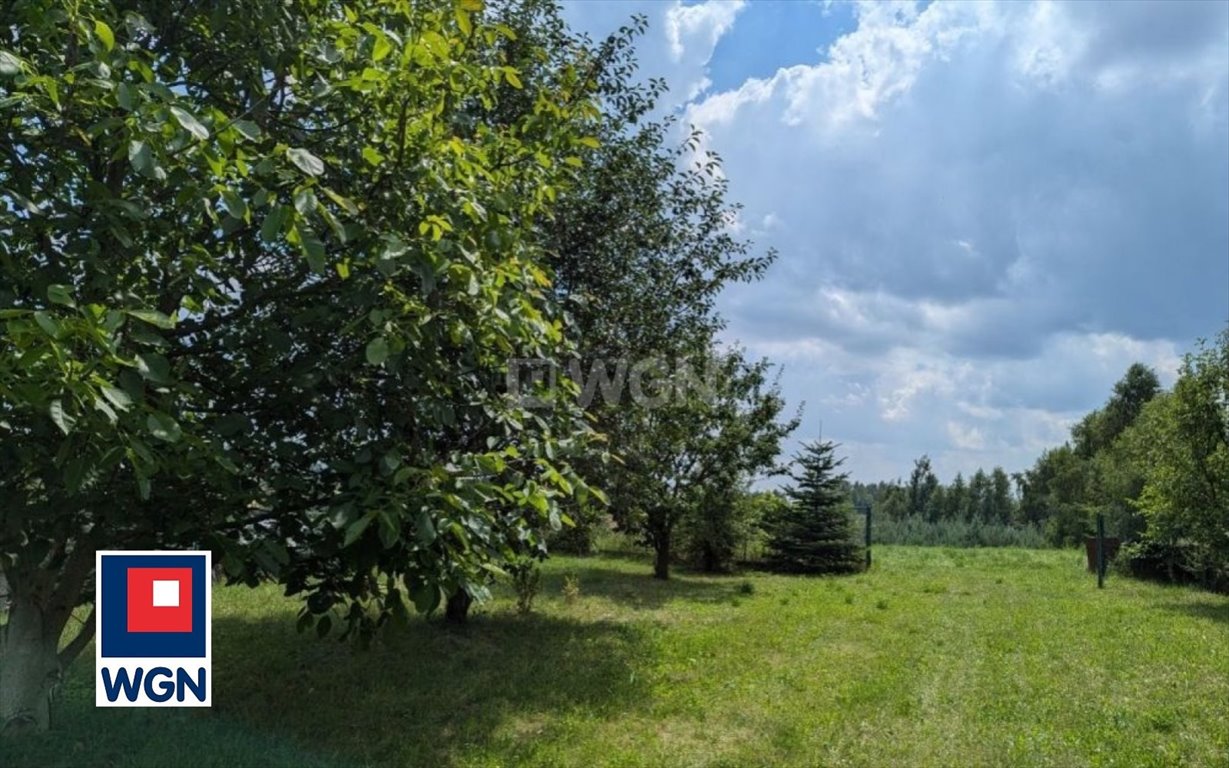 Działka budowlana na sprzedaż Koclin, Wrzosowa  4 192m2 Foto 3