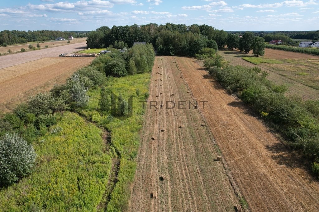 Działka budowlana na sprzedaż Wojciechowice  7 425m2 Foto 6