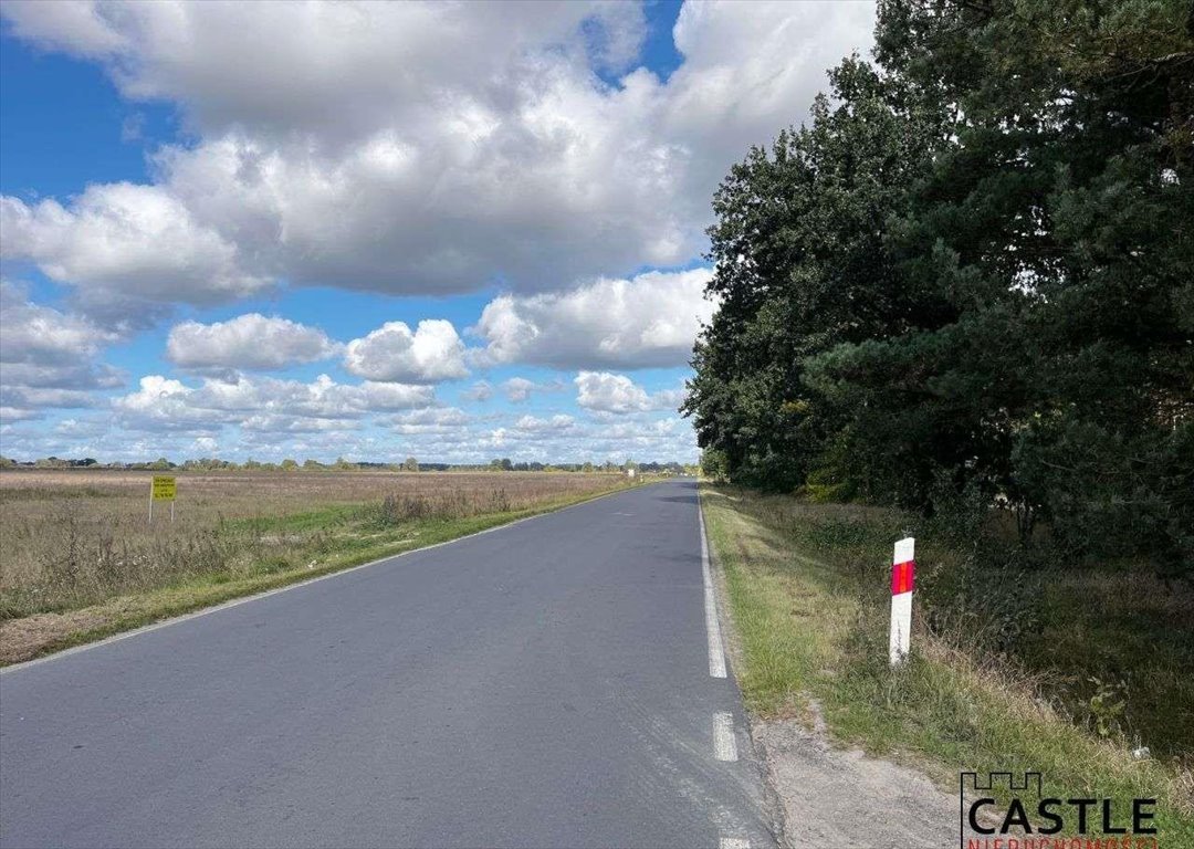 Działka budowlana na sprzedaż Trzciel  1 001m2 Foto 3