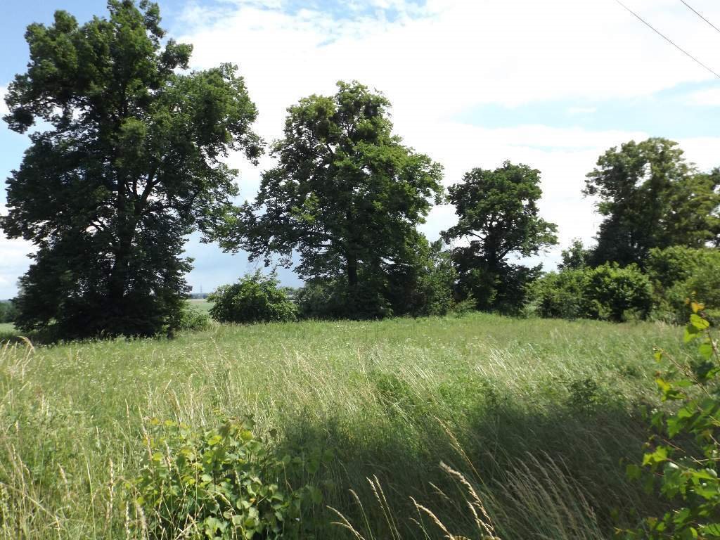 Działka inna na sprzedaż Dąbrowa  1 200m2 Foto 1