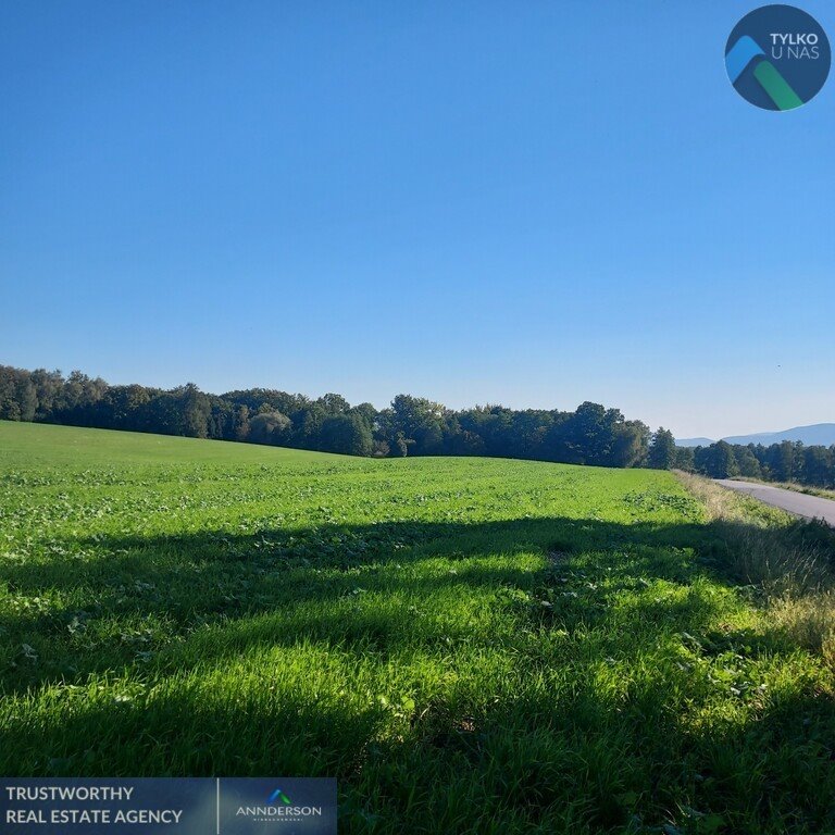 Działka komercyjna na sprzedaż Osiek  9 056m2 Foto 1