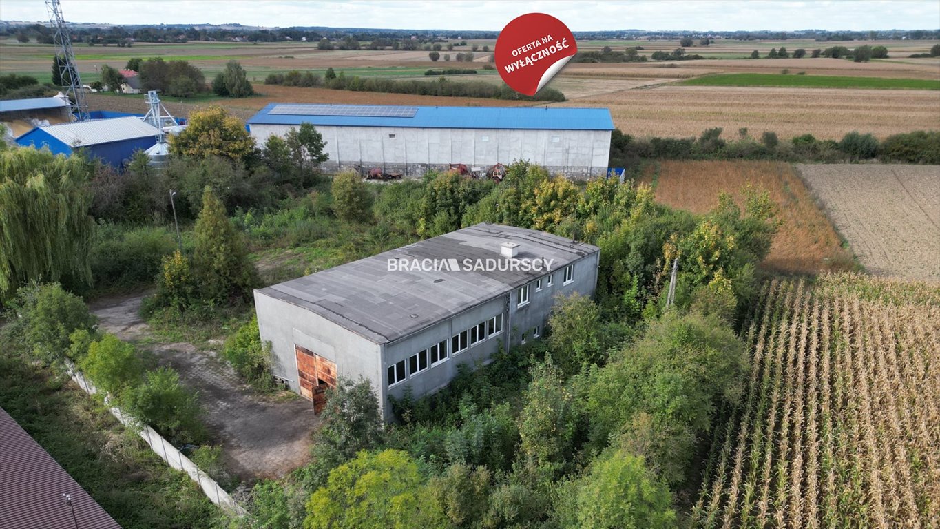 Magazyn na sprzedaż Siedliszowice  9 900m2 Foto 3