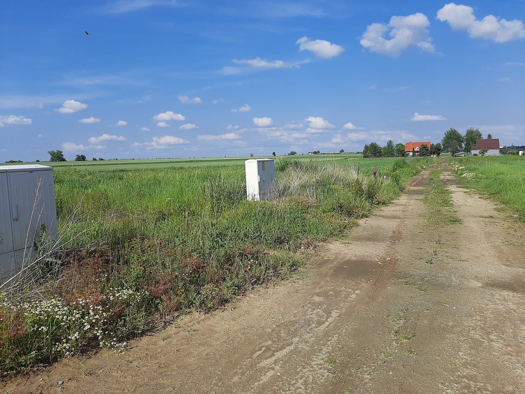 Działka budowlana na sprzedaż Smardzów  1 000m2 Foto 7